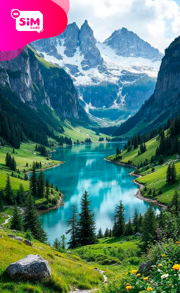 Chip SIM Card Norteamerica