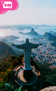 CHIP SIM CARD BRASIL