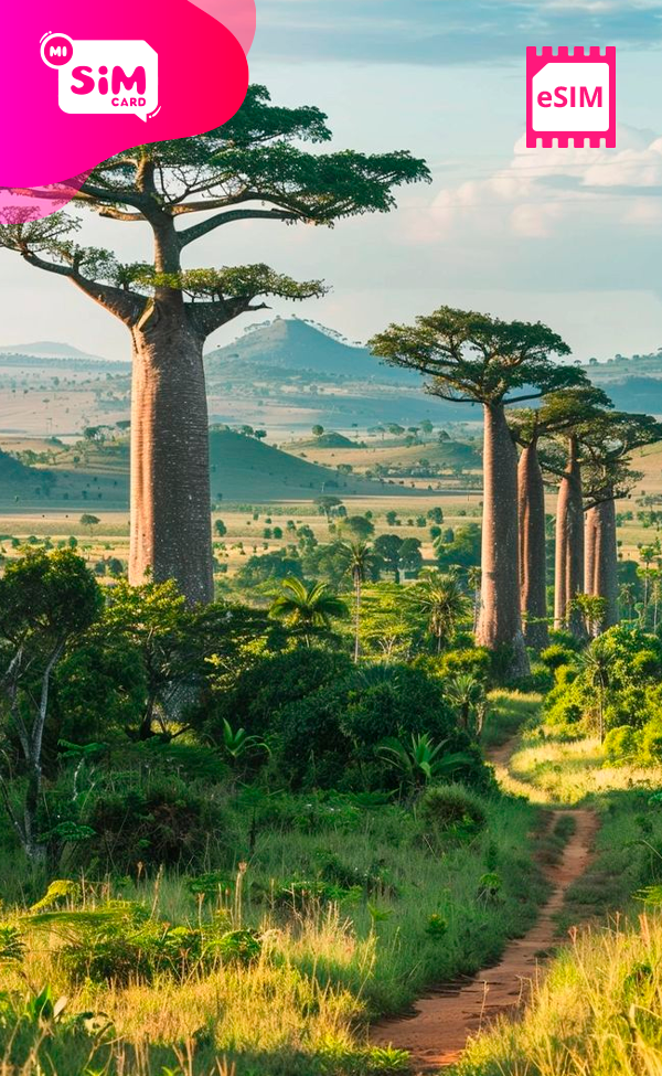 UNLIMITED eSIM MADAGASCAR